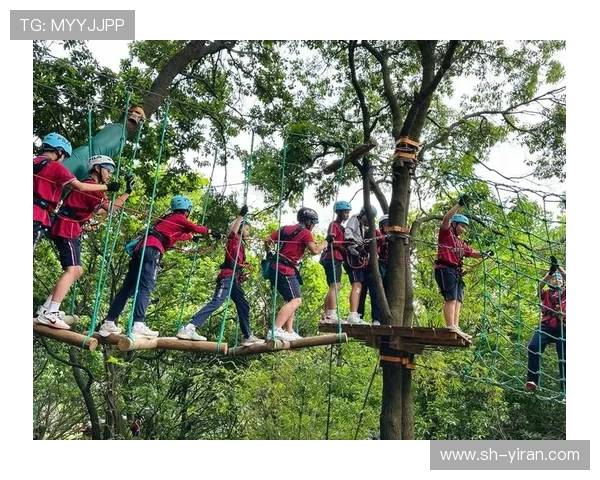 成都足球队团队协作的力量与魅力探索之旅