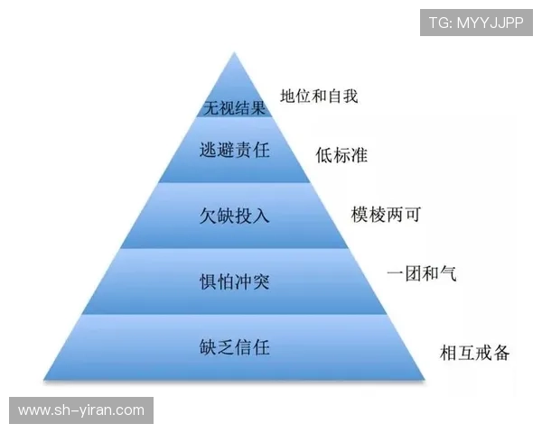 排球专题分析：深入探讨西安排球队的战术配合与团队协作技巧