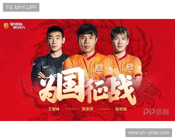 武汉排球队实力解析：战术执行与球员表现的全面评估