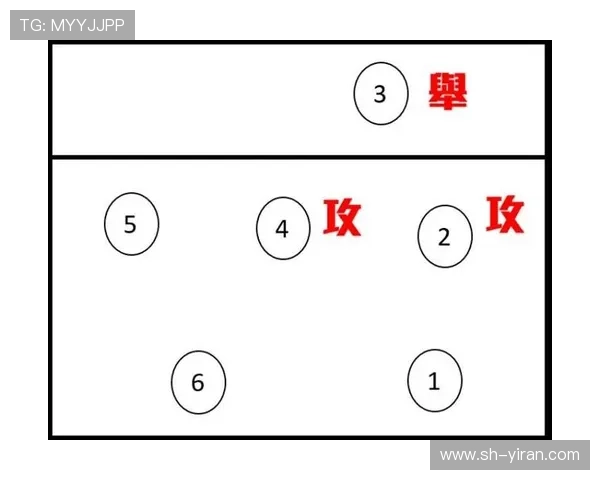 深圳排球队中路突破战术解析与实战应用探讨