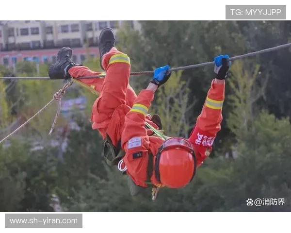 深圳篮球队的蜕变之旅:从草根到职业的奋斗与荣耀 深圳篮球队的蜕变之旅:从草根到职业的奋斗与荣耀